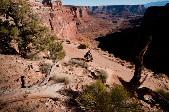 white rim trail bike tours